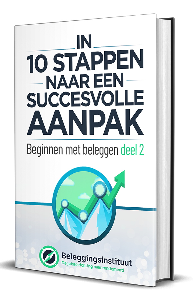 E-book: In 10 stappen naar een succesvolle aanpak
